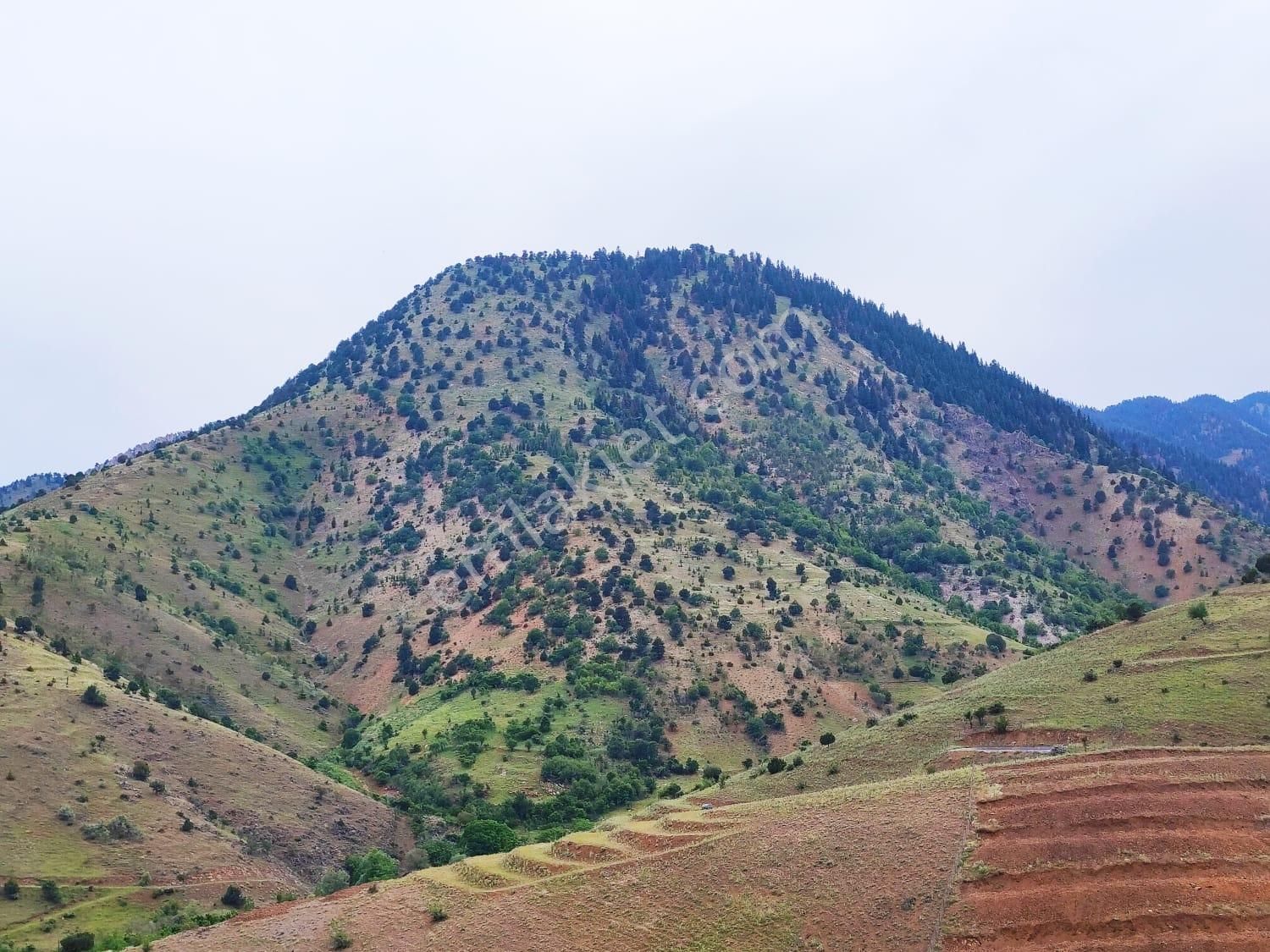 Kar Emlaktan Kamışlı Yaylasında İmara Uygun 1650m2 Satılık Tarla - Görsel 9