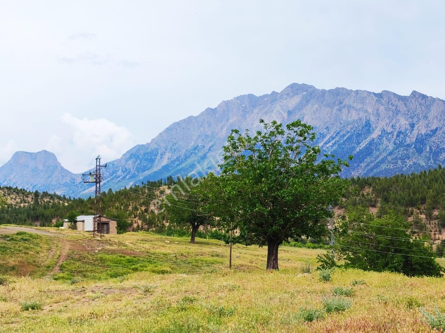 Kar Emlaktan Kamışlı Yaylasında İmara Uygun 1650m2 Satılık Tarla - Görsel 21