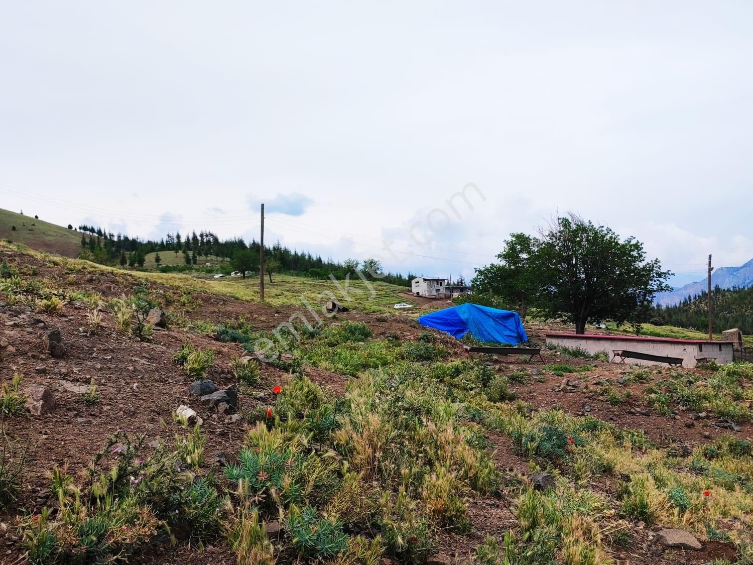 Kar Emlaktan Kamışlı Yaylasında İmara Uygun 1650m2 Satılık Tarla - Görsel 27