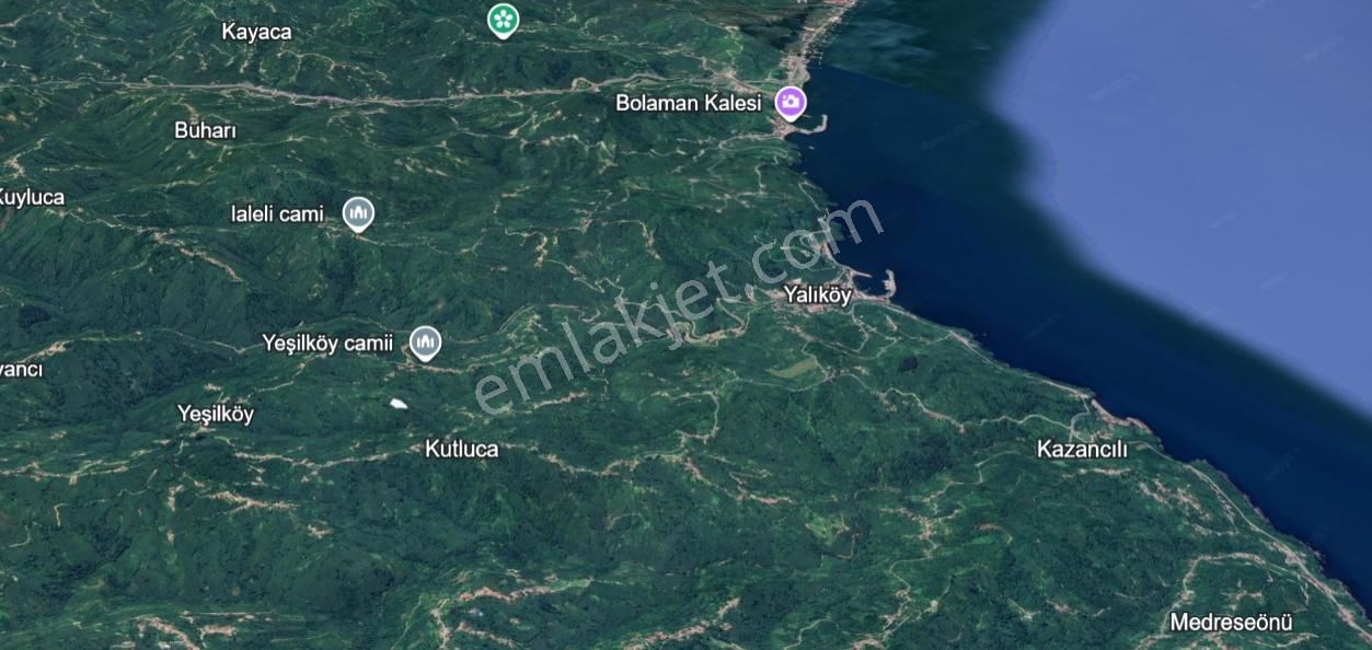 Ordu Perşembe Yalıköy'de Müstakil Tapulu Satılık Fındık Bahçesi - Görsel 4