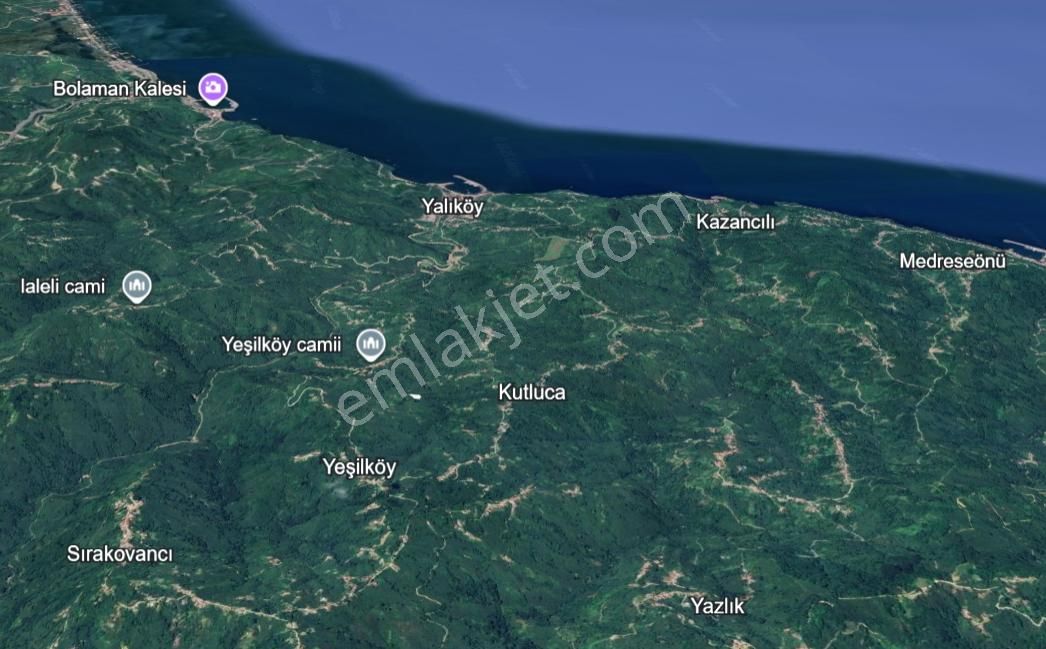 Ordu Perşembe Yalıköy'de Müstakil Tapulu Satılık Fındık Bahçesi - Görsel 3