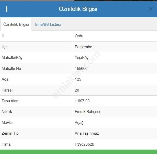Ordu Perşembe Yalıköy'de Müstakil Tapulu Satılık Fındık Bahçesi - Görsel 2