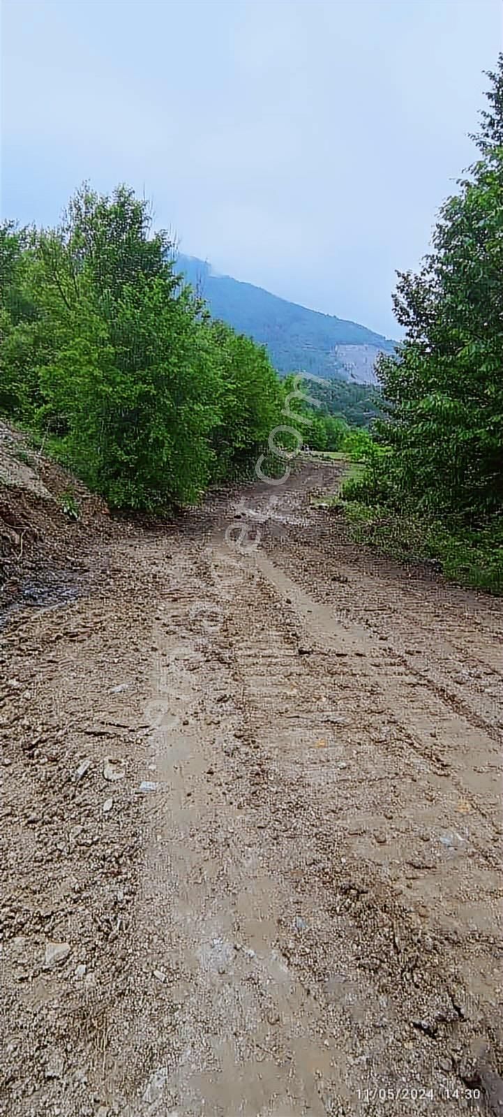 Atakum Şenyurt Köyünde 1000 M2 Doğa İçinde Fırsat Tarla - Görsel 11