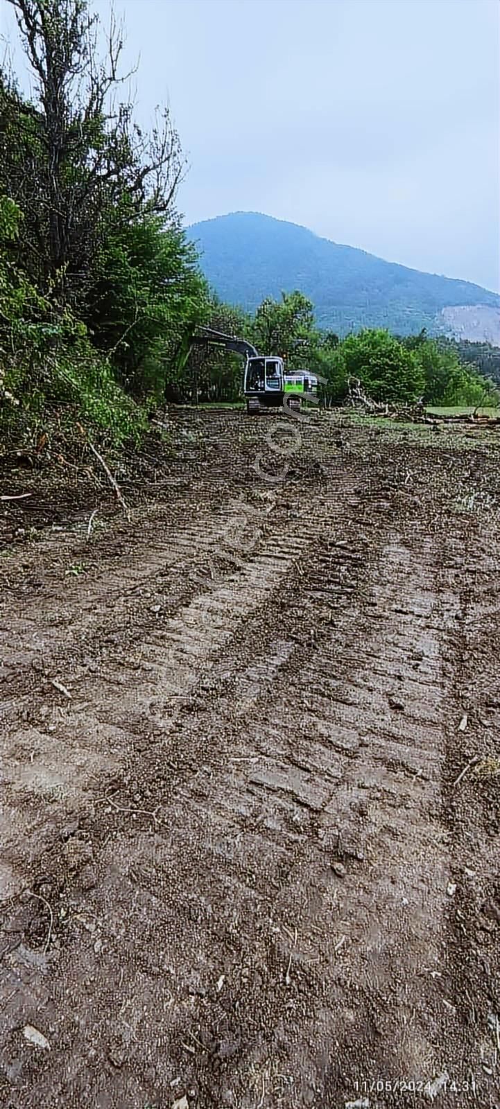 Atakum Şenyurt Köyünde 1000 M2 Doğa İçinde Fırsat Tarla - Görsel 9