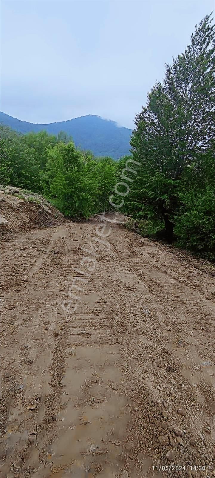 Atakum Şenyurt Köyünde 1000 M2 Doğa İçinde Fırsat Tarla - Görsel 5