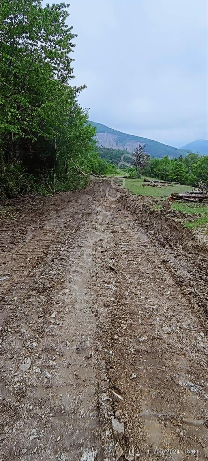 Atakum Şenyurt Köyünde 1000 M2 Doğa İçinde Fırsat Tarla - Görsel 15