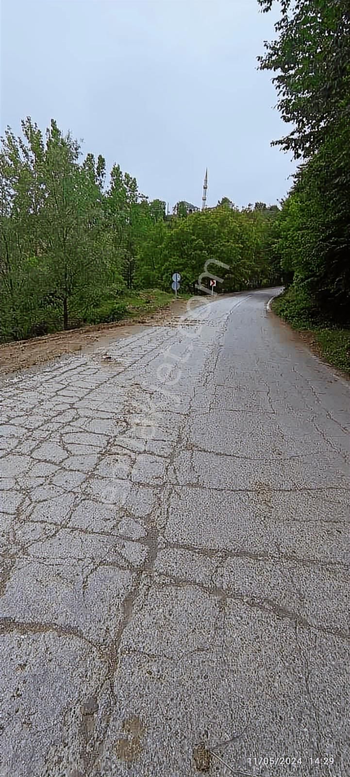 Atakum Şenyurt Köyünde 1000 M2 Doğa İçinde Fırsat Tarla - Görsel 2