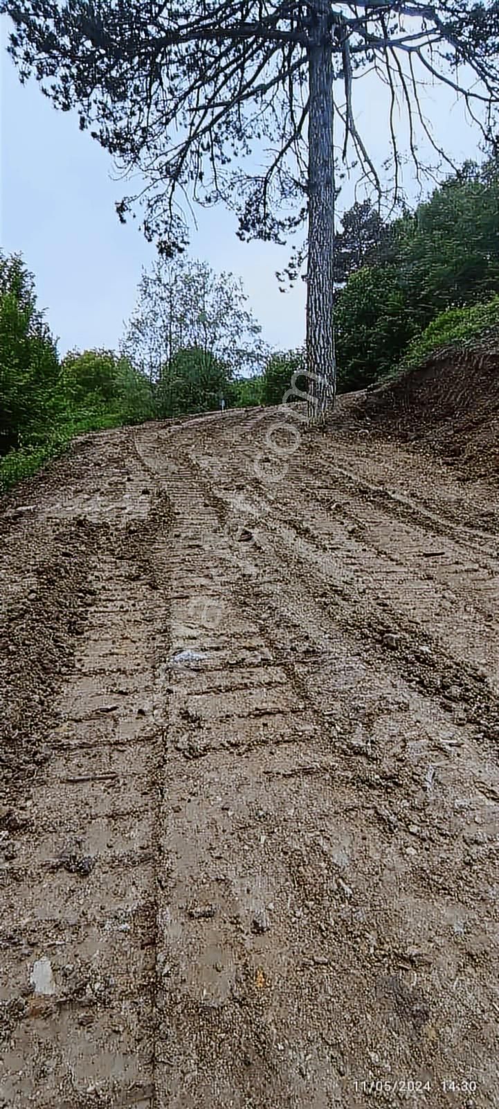 Atakum Şenyurt Köyünde 1000 M2 Doğa İçinde Fırsat Tarla - Görsel 14