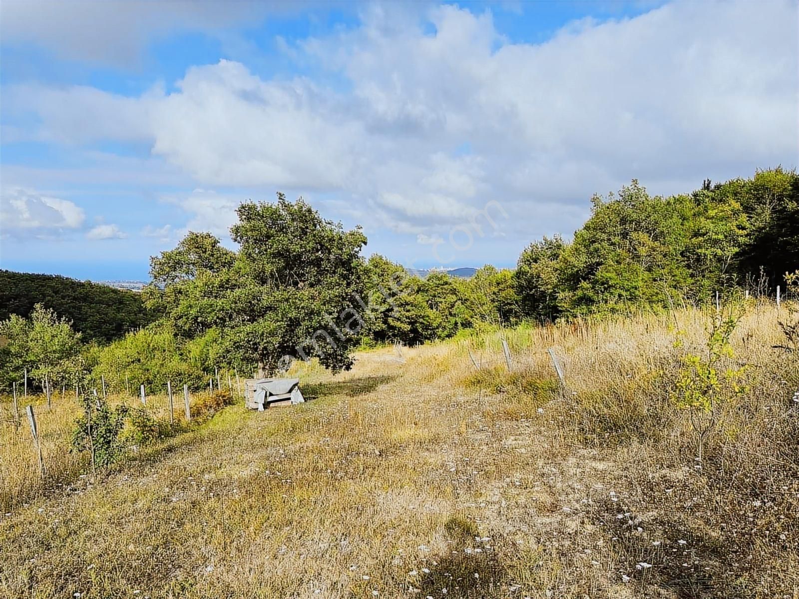Çatmaoluk'ta Full Deniz Manzaralı 1758 M2 Bulunmaz Fırsat Tarla - Görsel 13
