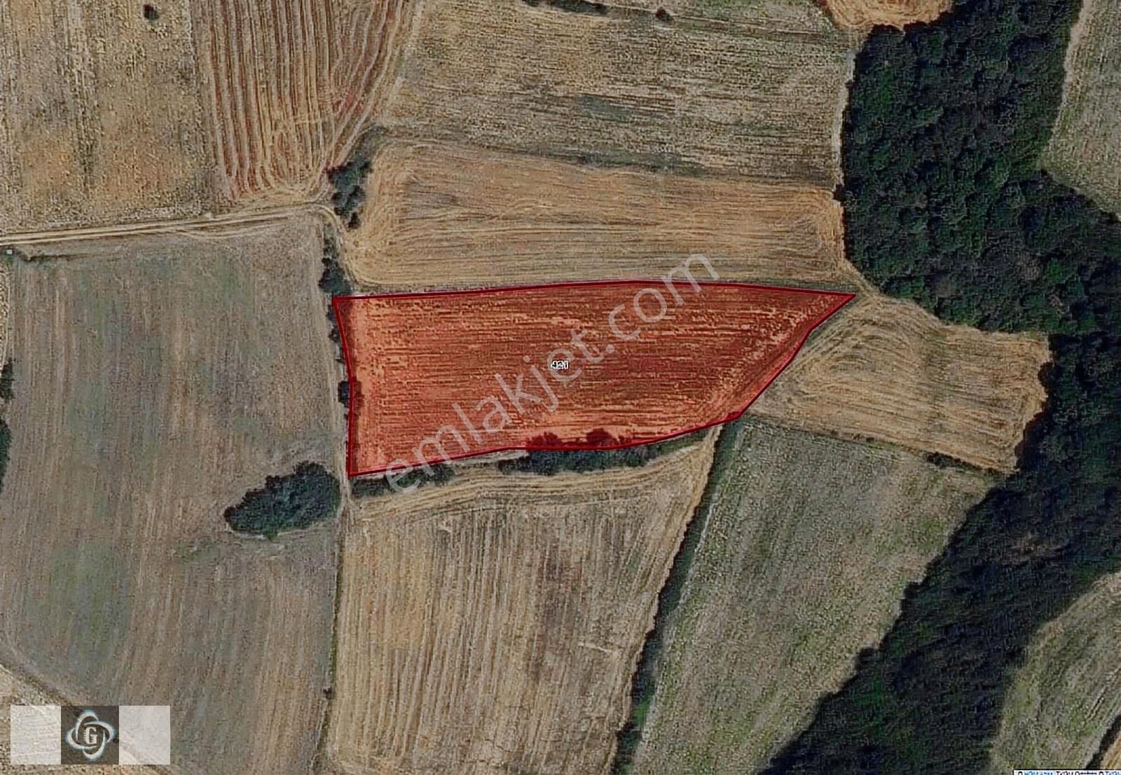 Havsa Bakışlar Köyünde 1.327 M² Yatırımlık Arsa Çaplı