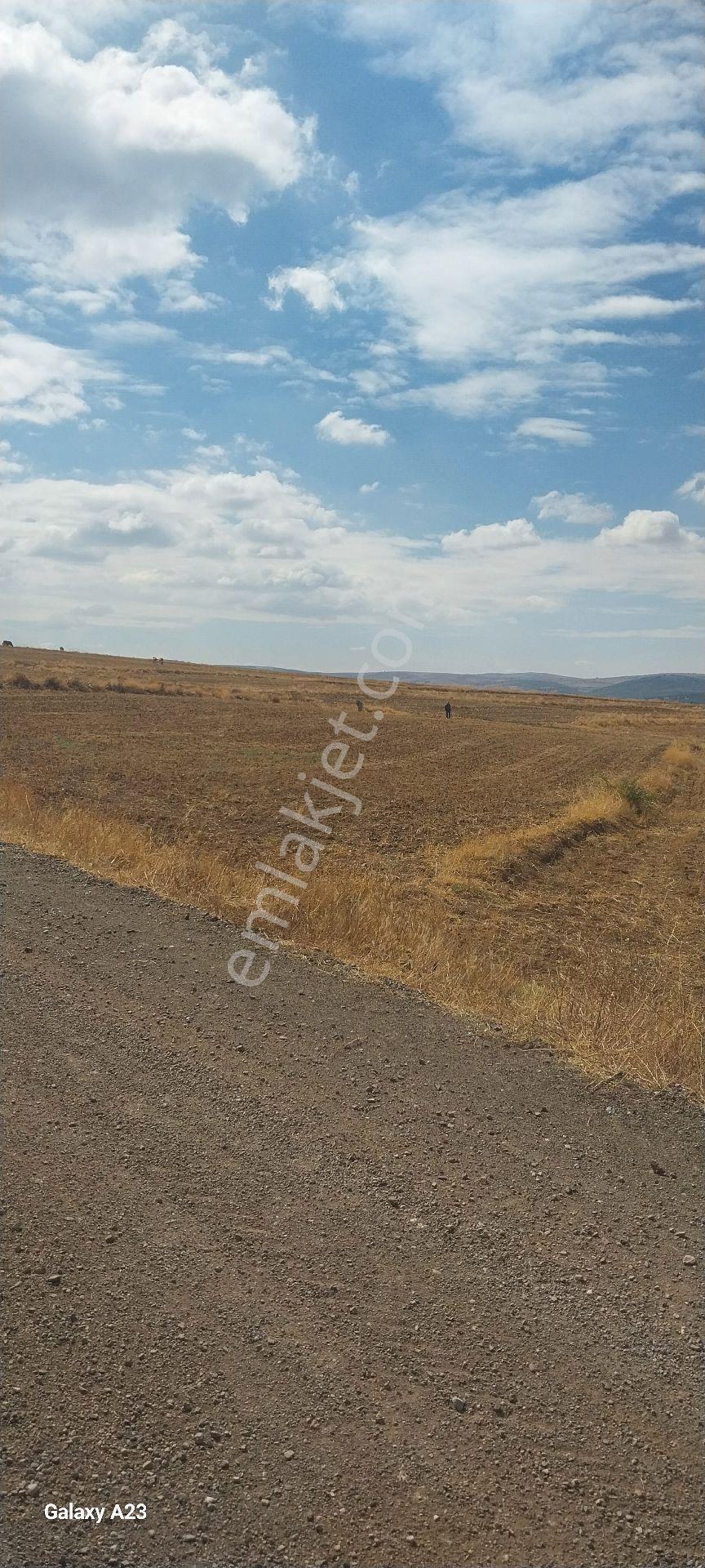 Yola Sıfır 3580 M² Eymir Beledıyesıne 200 Mt - Görsel 13
