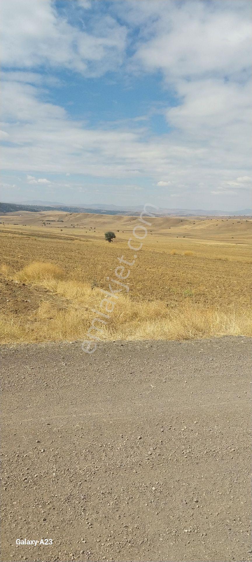 Yola Sıfır 3580 M² Eymir Beledıyesıne 200 Mt - Görsel 27