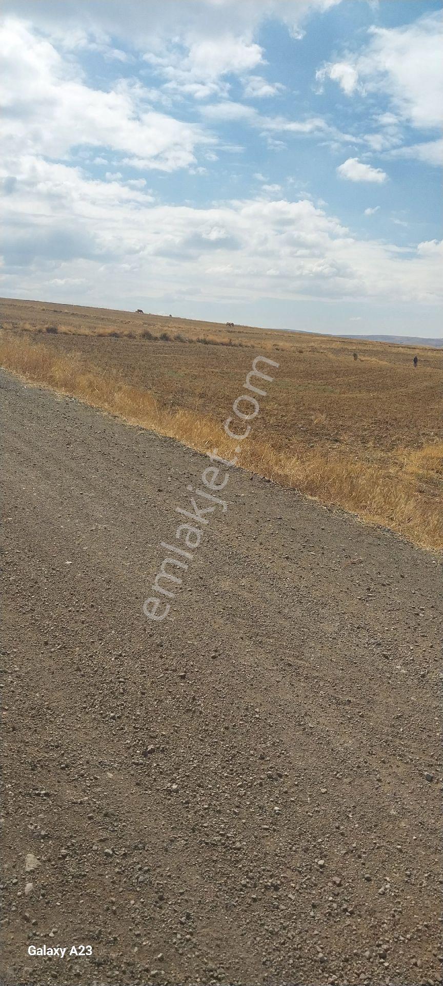Yola Sıfır 3580 M² Eymir Beledıyesıne 200 Mt - Görsel 9