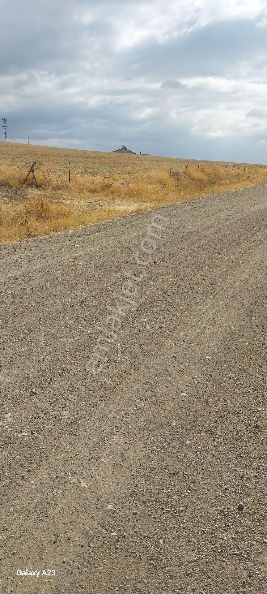 Yola Sıfır 3580 M² Eymir Beledıyesıne 200 Mt - Görsel 31