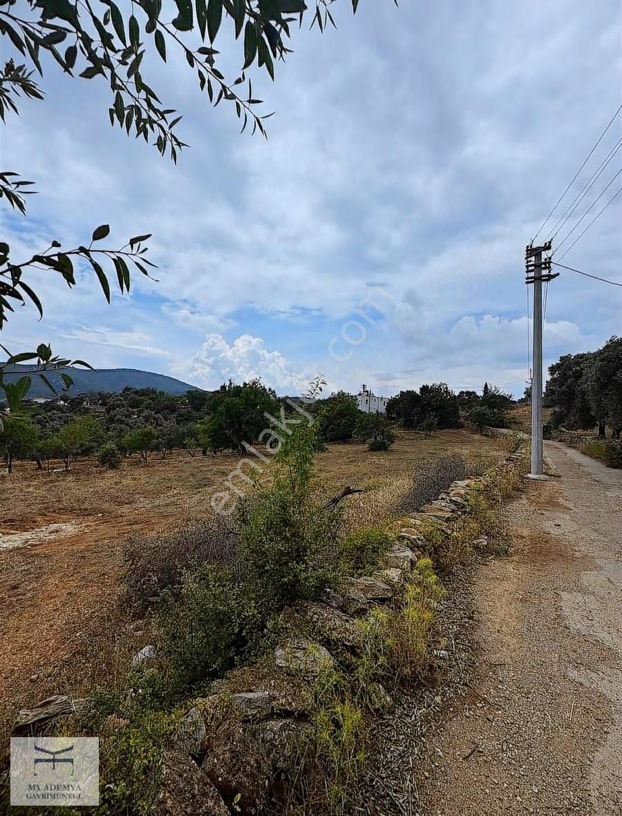 Bodrum Yalıçiflik'te Satılık Kupon Arsa - Görsel 7