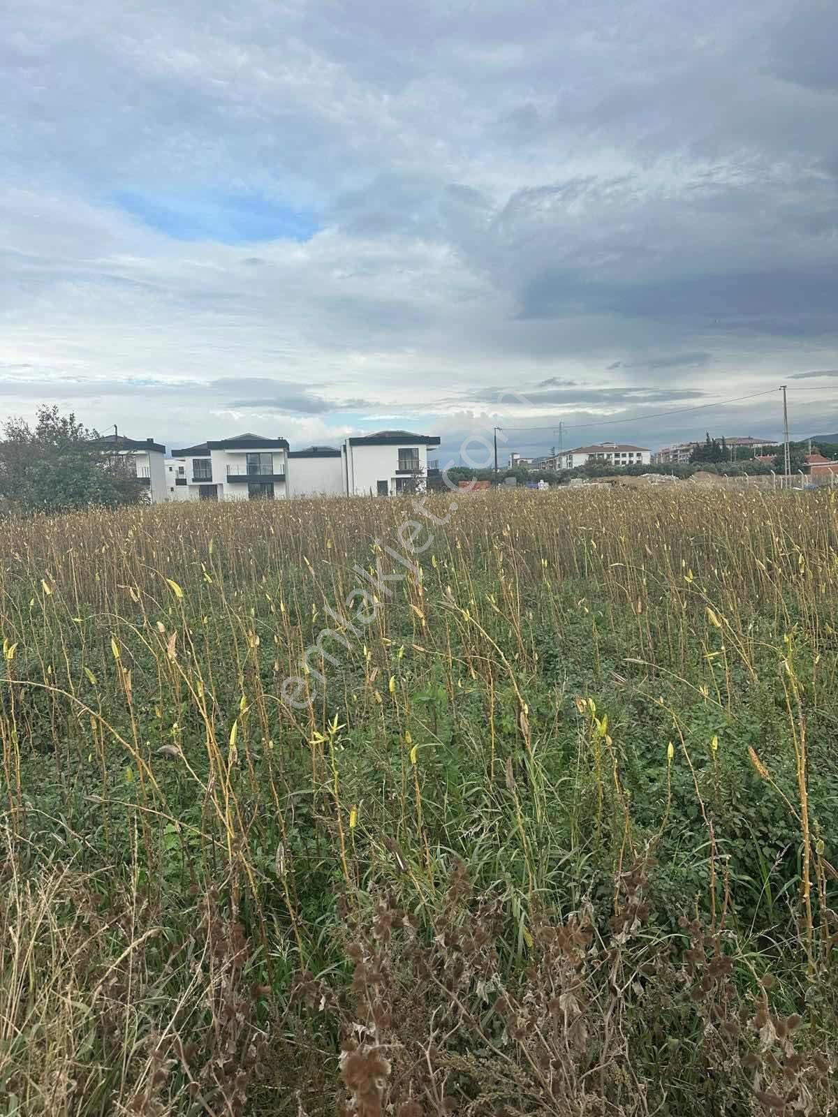 Sahil Yolunda Satılık Arsa - Görsel 10