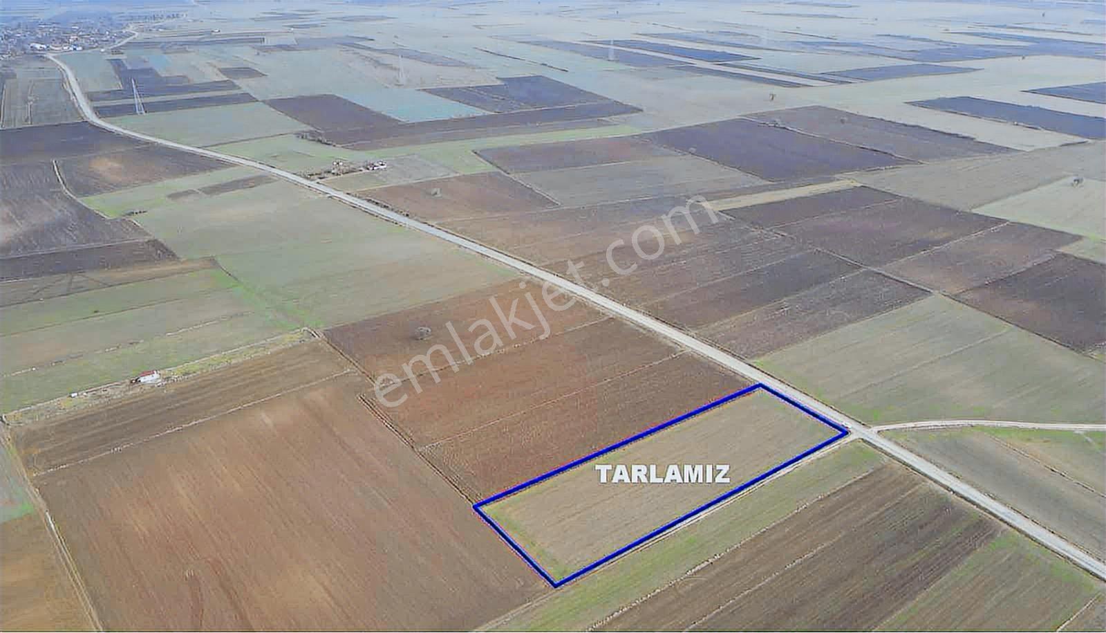İmara Yakın, Tek Tapu/ 8.200m2 Asfalt Cepheli Süper Tarlamız. - Görsel 5
