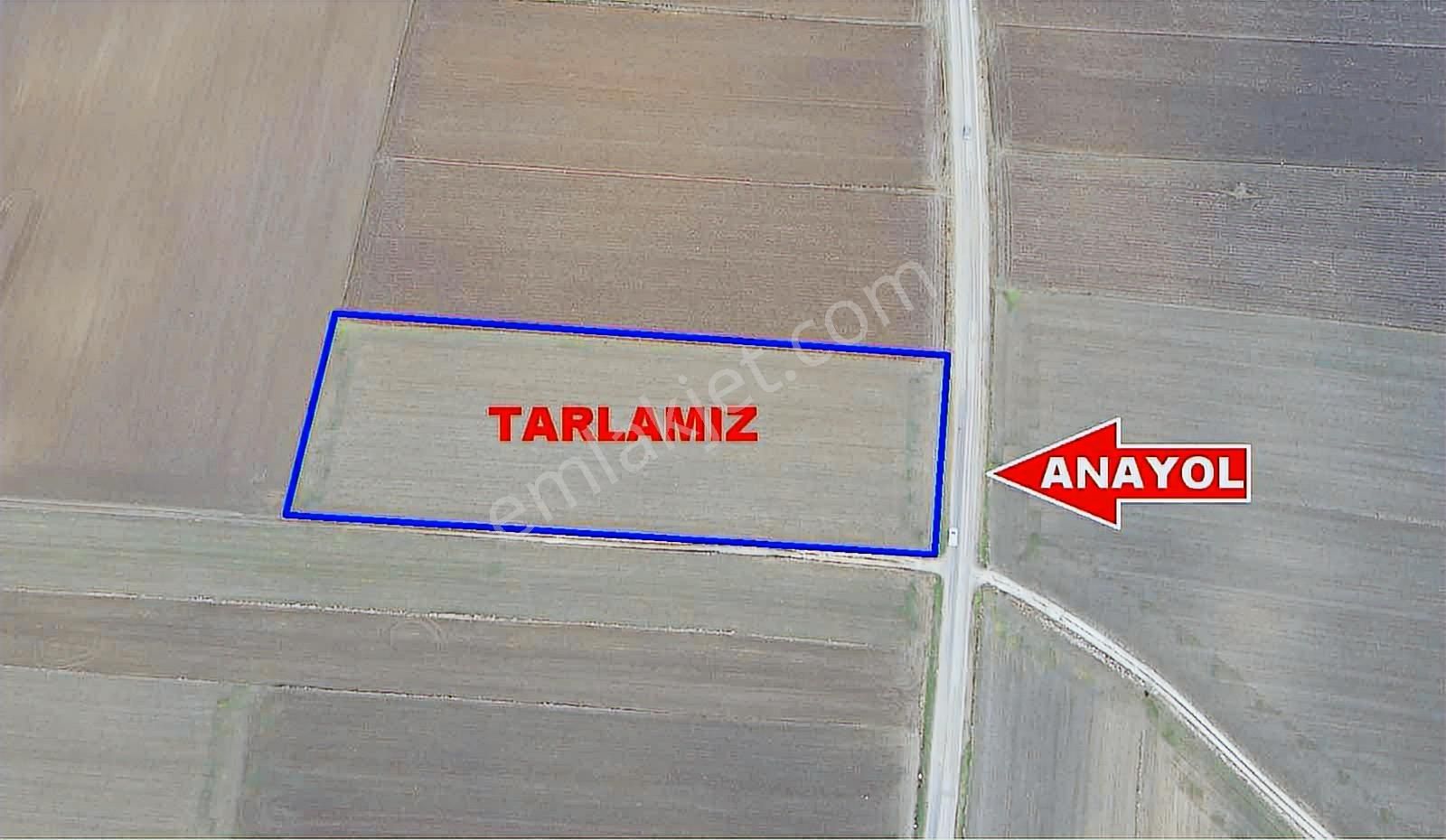 K.eli Vize Hasbuğa Köyü 8200 Metre Tektapu, Araç Takası Yapılır - Görsel 9