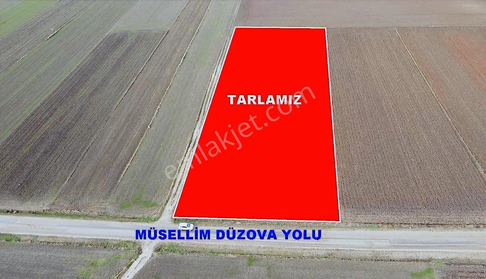 İmara Yakın, Tek Tapu/ 8.200m2 Asfalt Cepheli Süper Tarlamız. - Görsel 3