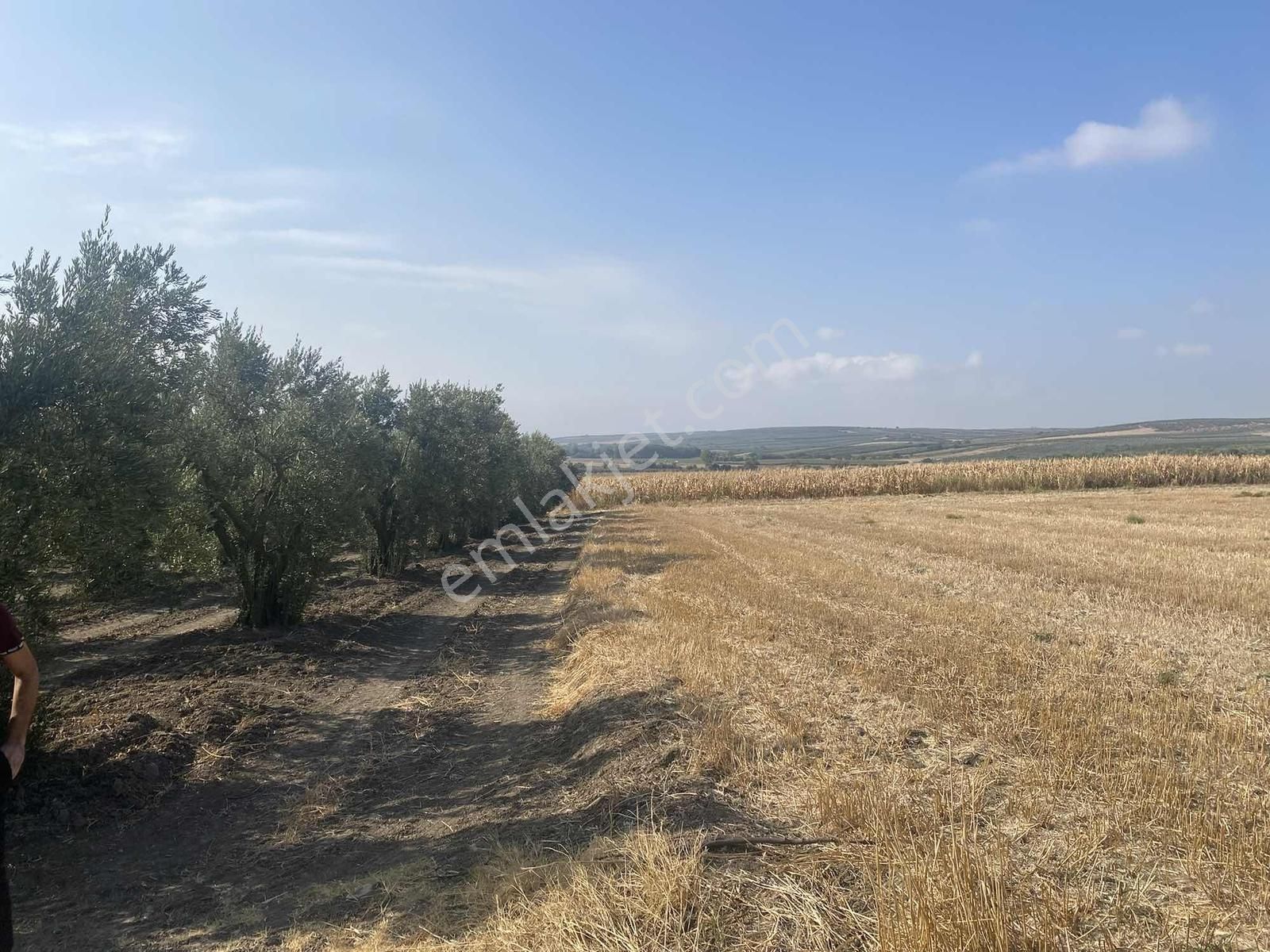 Bursa Karacabey Sultaniye Köye 300 Metre 3 Dönüm Tarla - Görsel 22