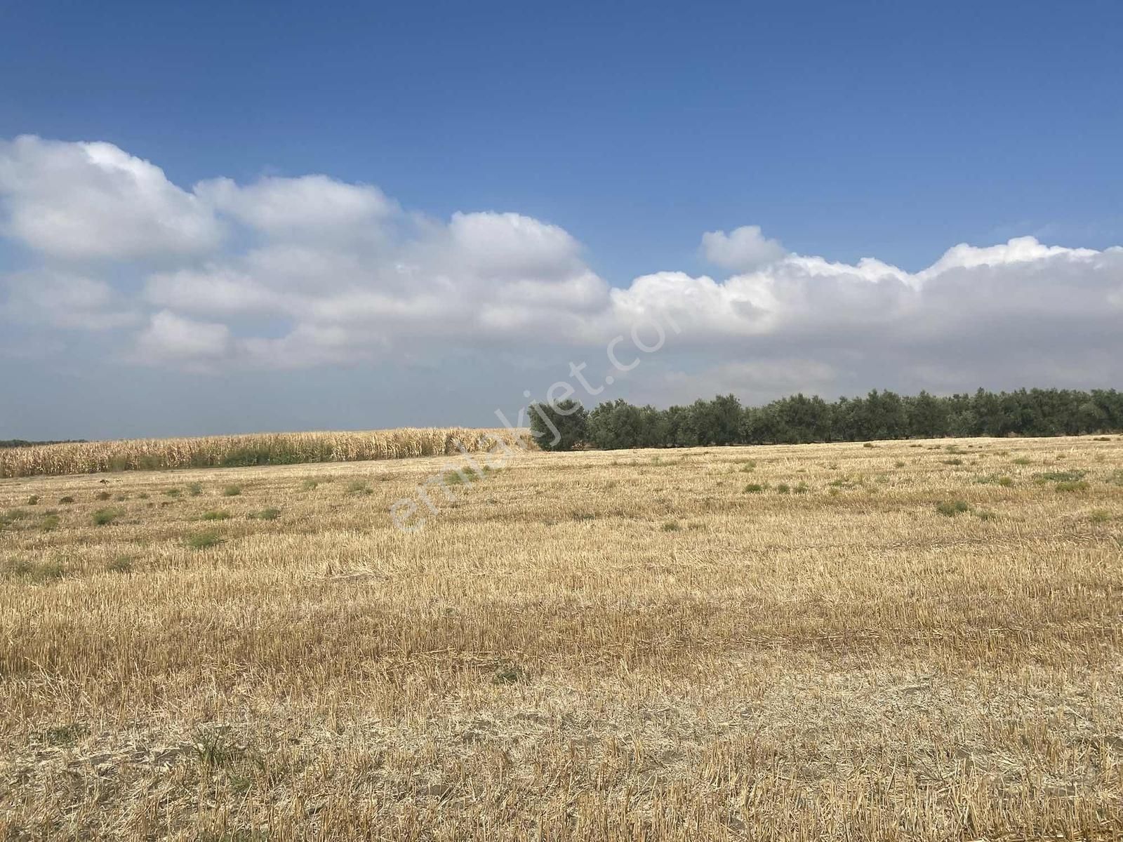 Bursa Karacabey Sultaniye Köye 300 Metre 3 Dönüm Tarla - Görsel 28