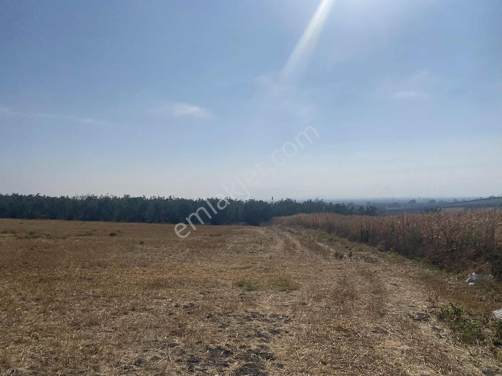 Bursa Karacabey Sultaniye Köye 300 Metre 3 Dönüm Tarla - Görsel 29