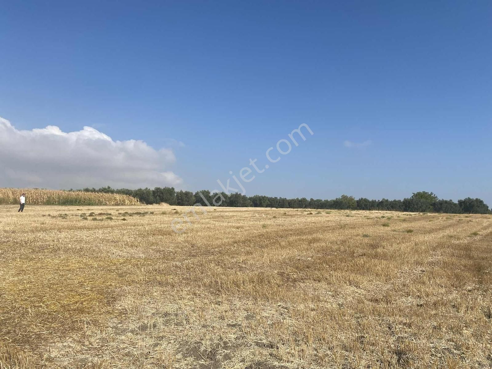 Bursa Karacabey Sultaniye Köye 300 Metre 3 Dönüm Tarla - Görsel 27