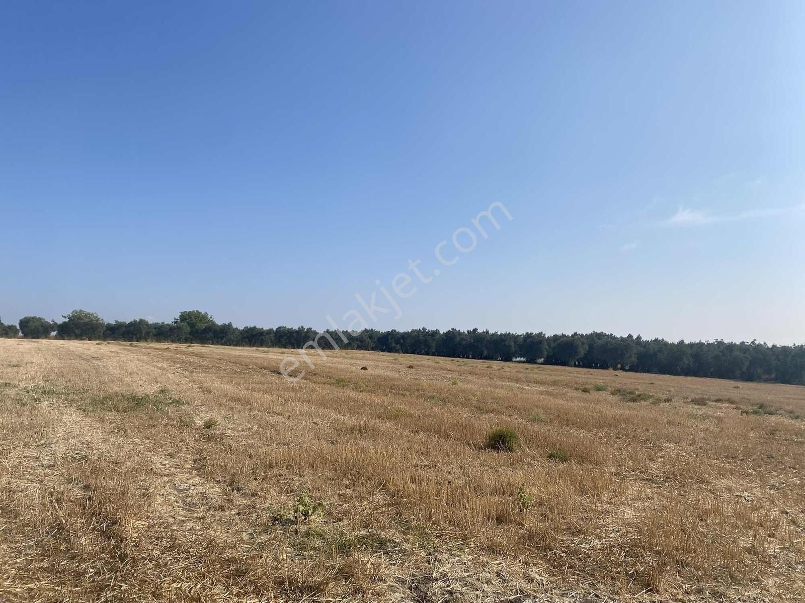 Bursa Karacabey Sultaniye Köye 300 Metre 3 Dönüm Tarla - Görsel 21