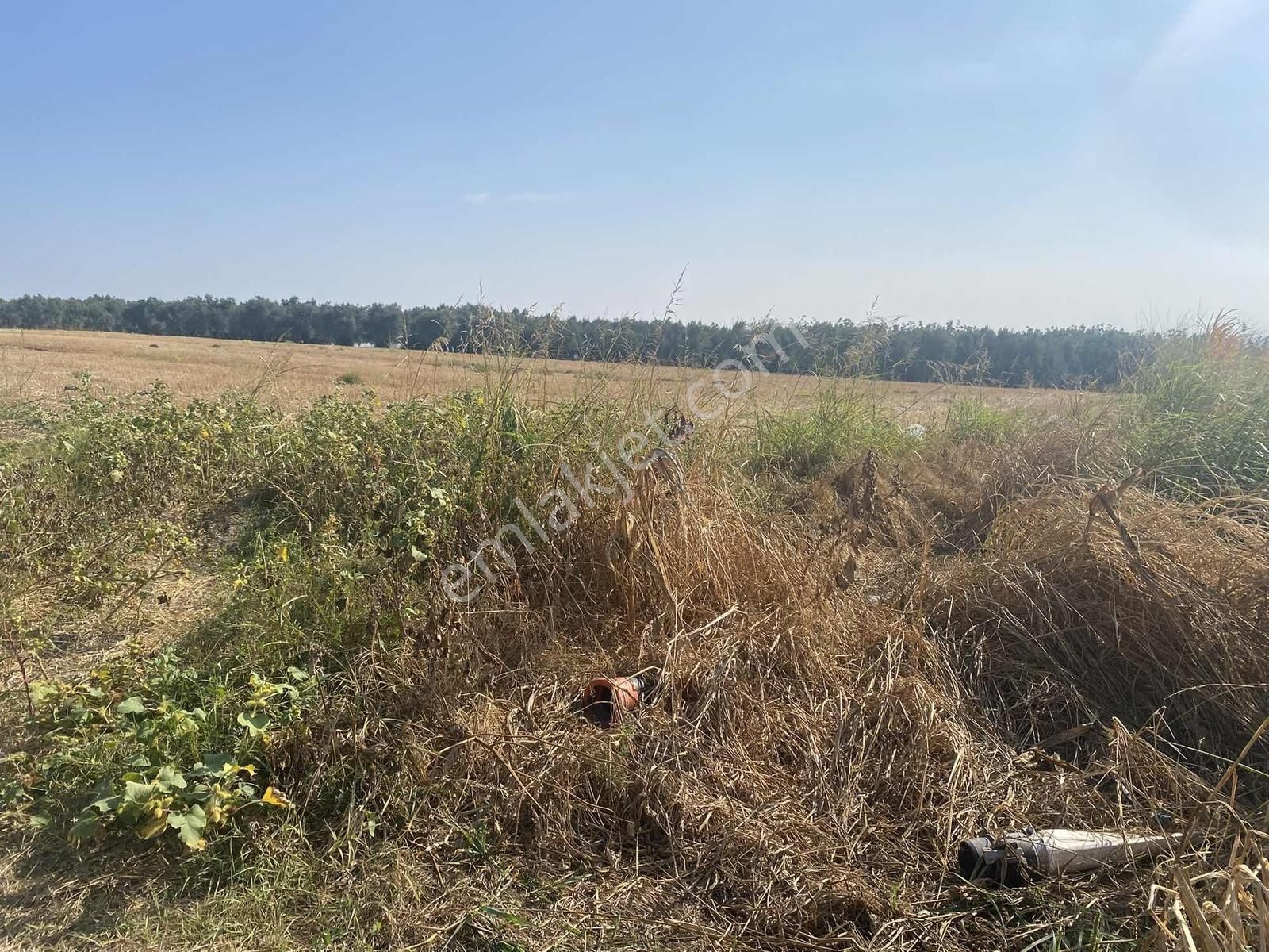 Bursa Karacabey Sultaniye Köye 300 Metre 3 Dönüm Tarla - Görsel 3