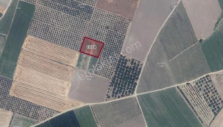 Bursa Karacabey Sultaniye Köye 300 Metre 3 Dönüm Tarla - Görsel 14