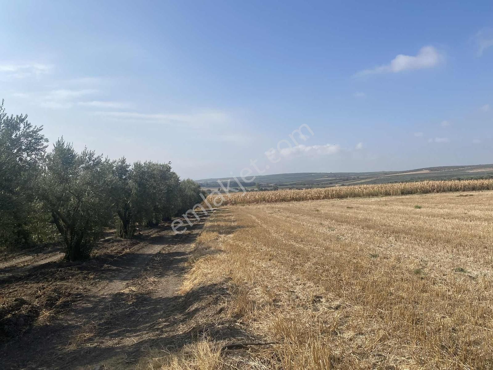 Bursa Karacabey Sultaniye Köye 300 Metre 3 Dönüm Tarla - Görsel 13