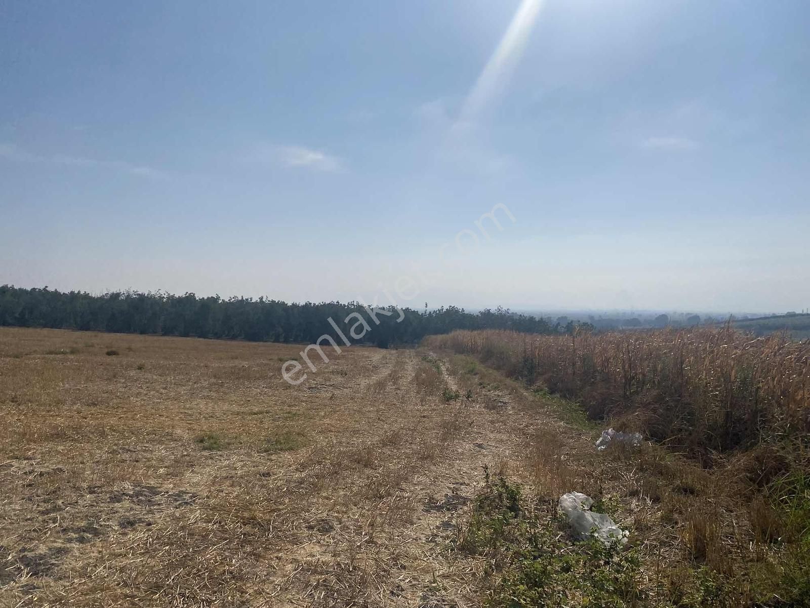 Bursa Karacabey Sultaniye Köye 300 Metre 3 Dönüm Tarla - Görsel 4