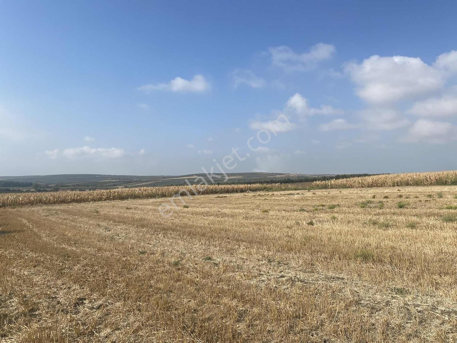 Bursa Karacabey Sultaniye Köye 300 Metre 3 Dönüm Tarla - Görsel 25