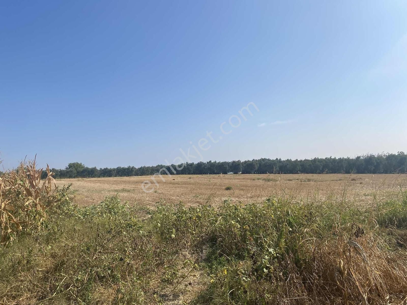 Bursa Karacabey Sultaniye Köye 300 Metre 3 Dönüm Tarla - Görsel 26