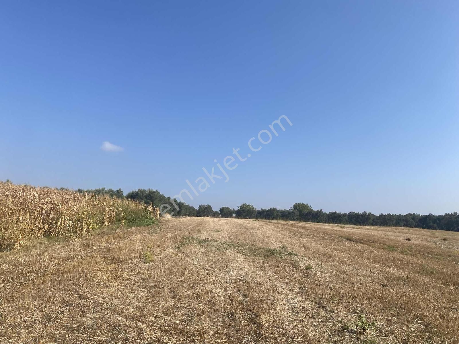 Bursa Karacabey Sultaniye Köye 300 Metre 3 Dönüm Tarla