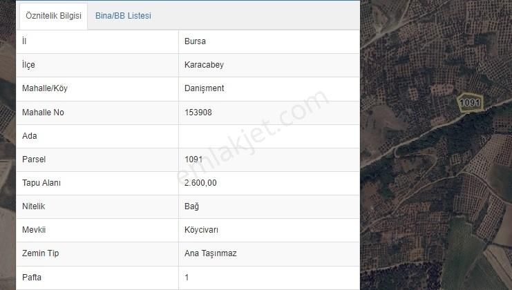 Karacabey Danişment'te Yola Cephe 2600 M2 Yatırımlık Tarla - Görsel 6