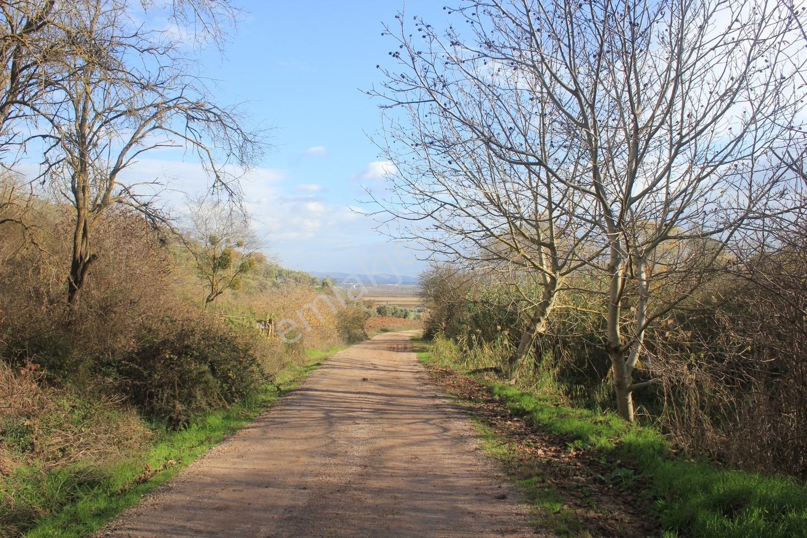 Karacabey Danişment'te Yola Cephe 2600 M2 Yatırımlık Tarla