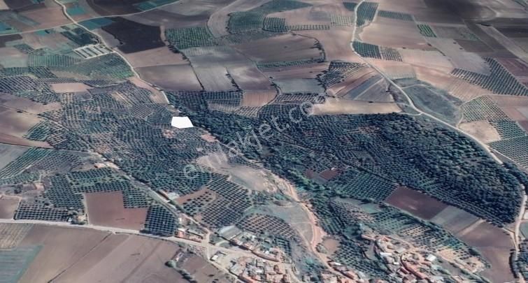 Karacabey Danişment'te Yola Cephe 2600 M2 Yatırımlık Tarla - Görsel 15