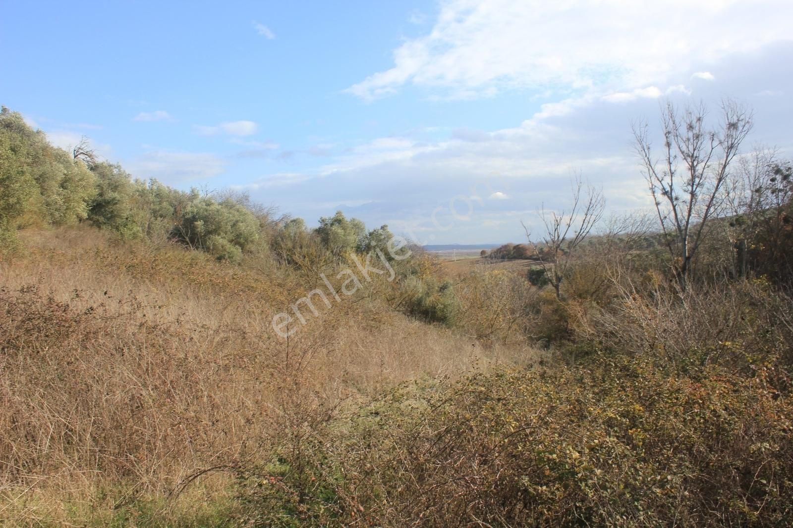 Karacabey Danişment'te Yola Cephe 2600 M2 Yatırımlık Tarla - Görsel 18
