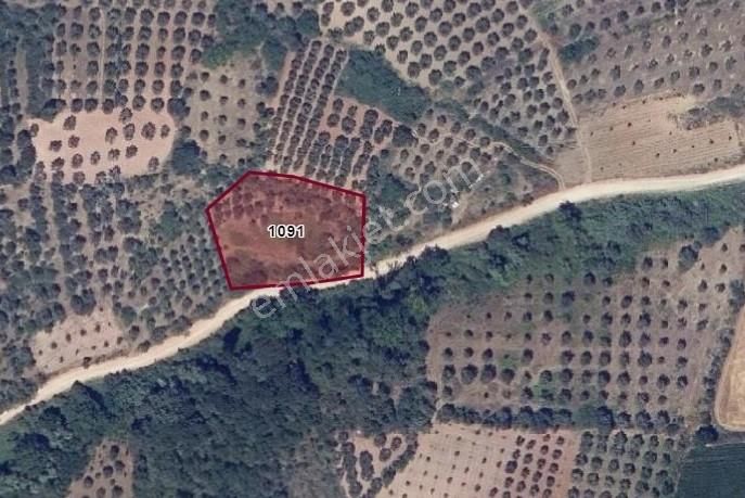 Karacabey Danişment'te Yola Cephe 2600 M2 Yatırımlık Tarla - Görsel 13