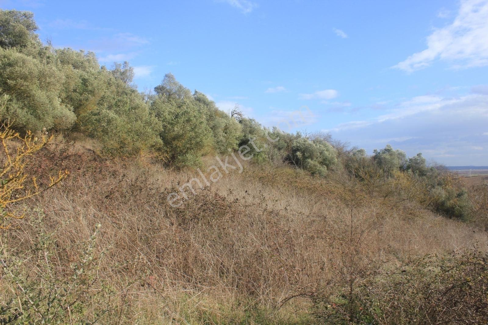 Karacabey Danişment'te Yola Cephe 2600 M2 Yatırımlık Tarla - Görsel 20