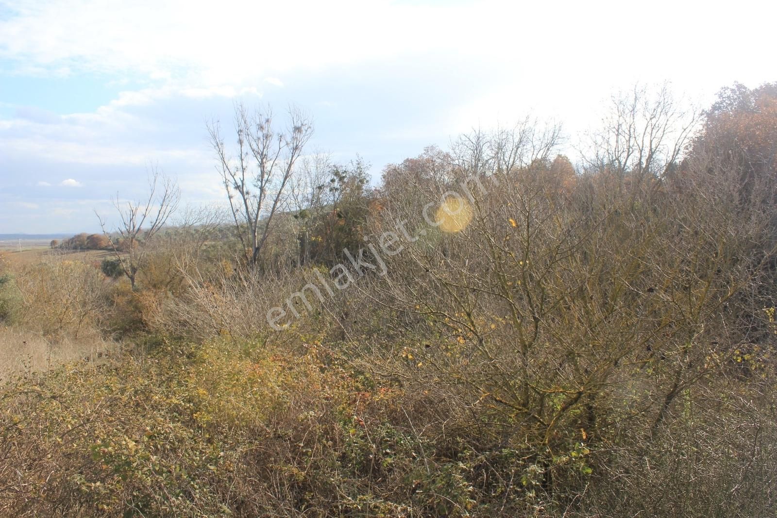 Karacabey Danişment'te Yola Cephe 2600 M2 Yatırımlık Tarla - Görsel 17