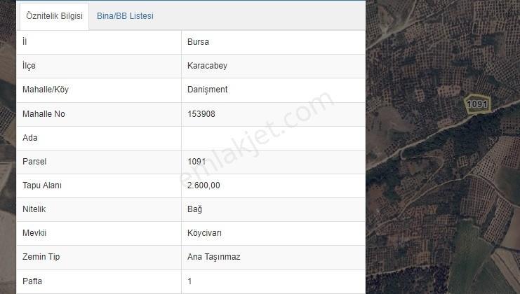Karacabey Danişment'te Yola Cephe 2600 M2 Yatırımlık Tarla - Görsel 5
