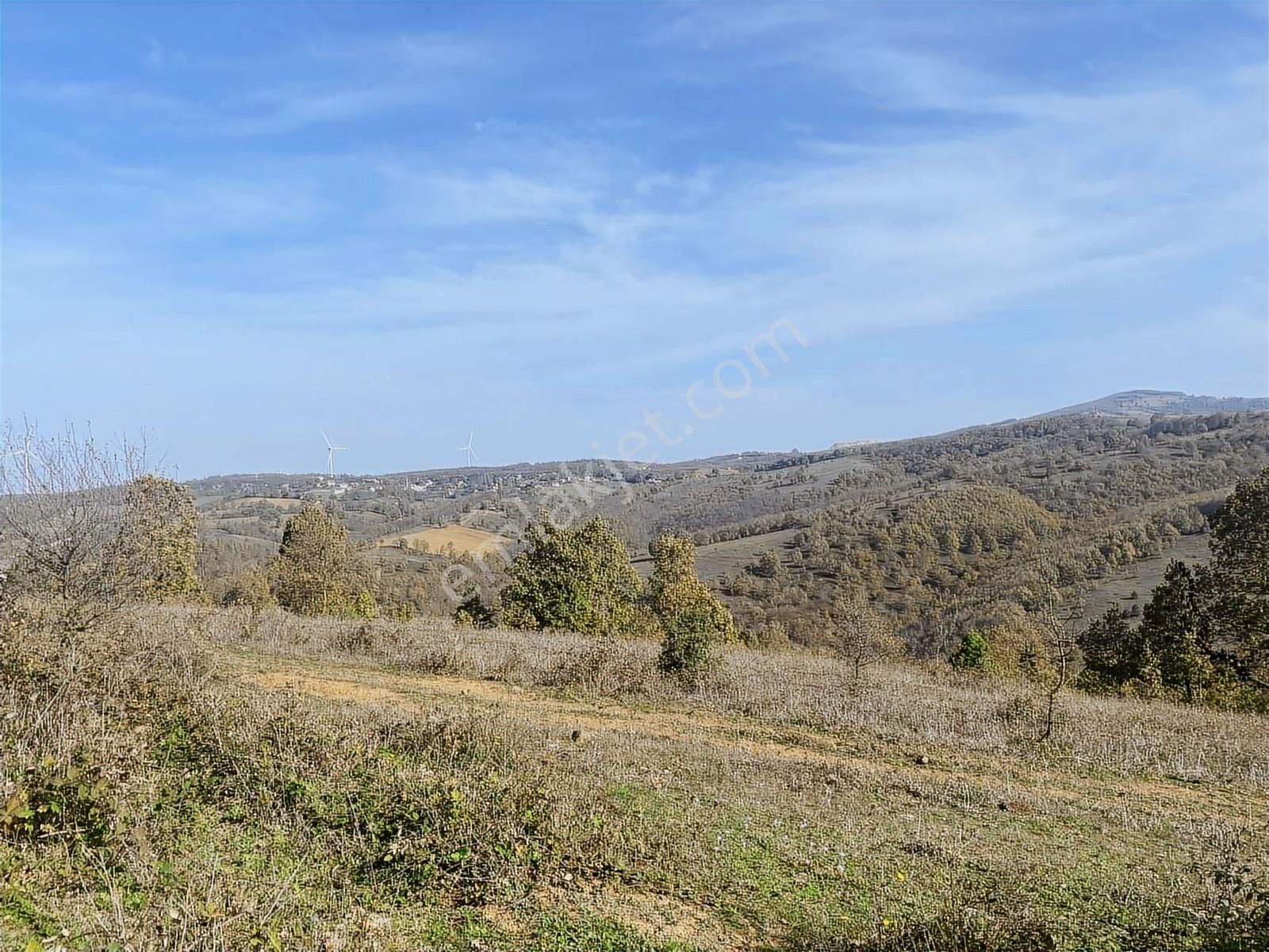 Korubaşı Satılık Tek Tapu Tarla - Görsel 6