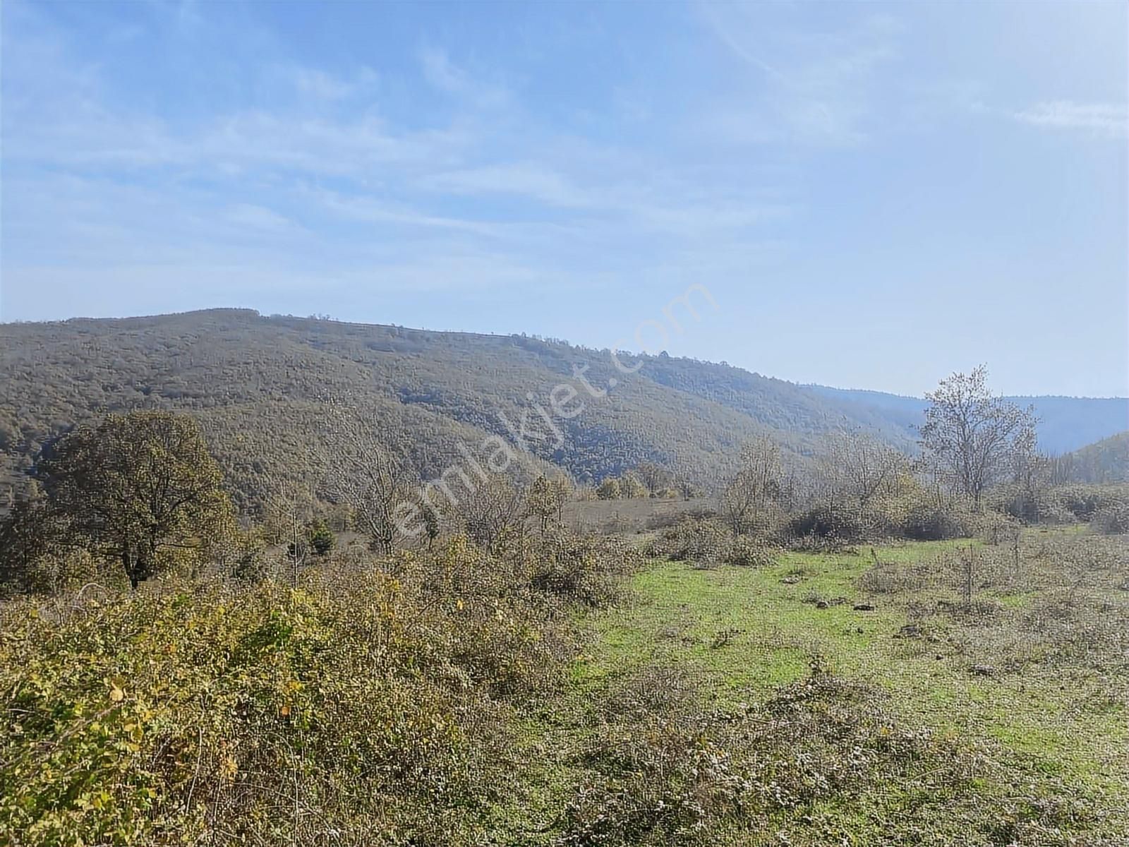 Korubaşı Satılık Tek Tapu Tarla - Görsel 5