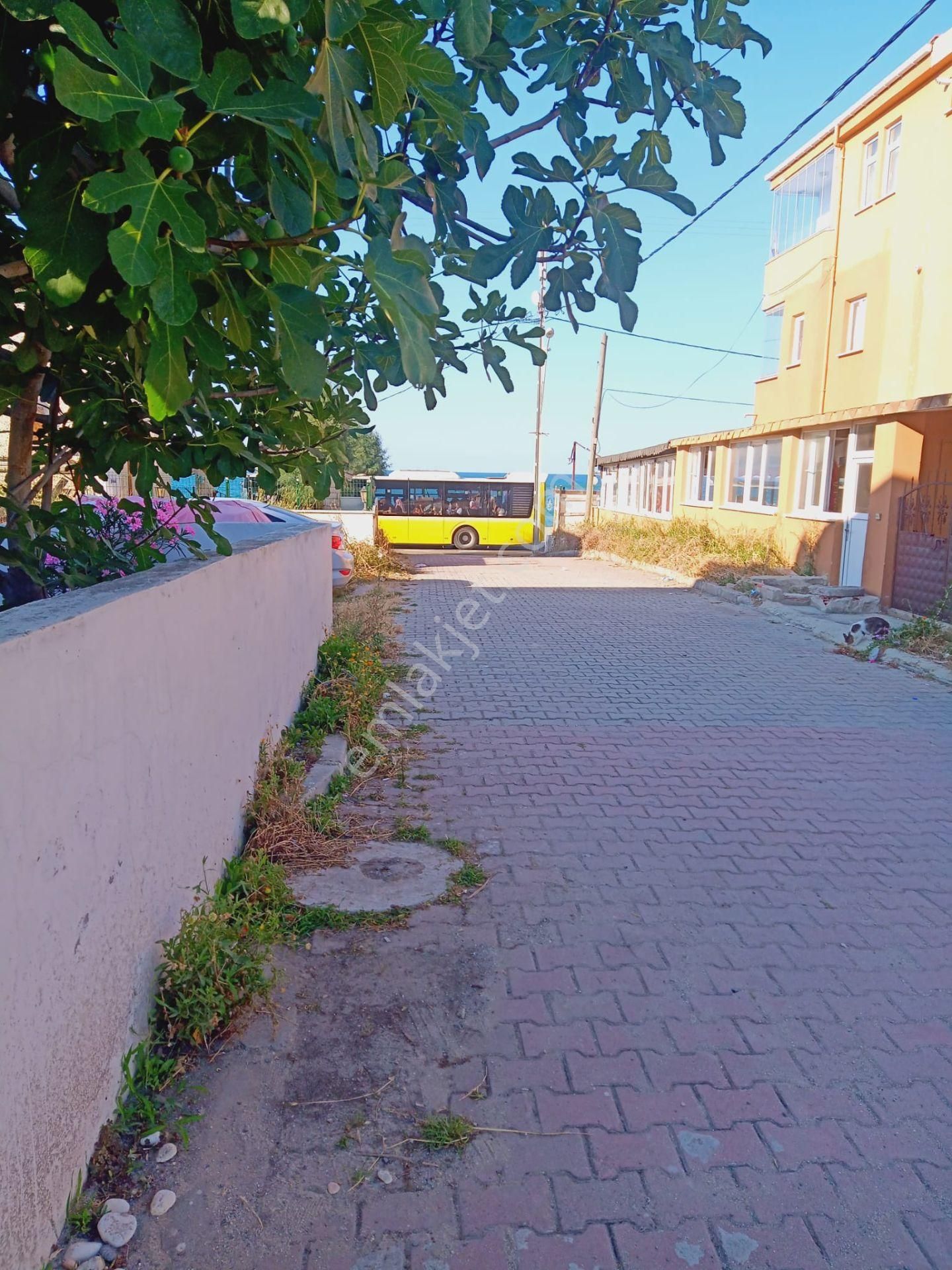 Sahile 3 Dk | Müstakil | Bahçeli | Arsalı | Havaalanına 10dk - Görsel 21