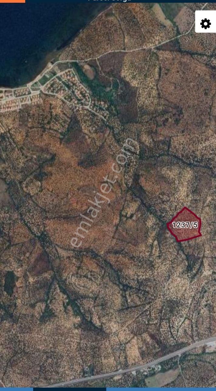 Balıkesir Ayvalık Sakarya"da Satılık Deniz Manzaralı 31.561m2 İmara Yakın Harika Zeytinlik - Görsel 3