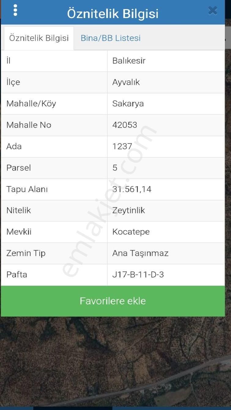 Balıkesir Ayvalık Sakarya"da Satılık Deniz Manzaralı 31.561m2 İmara Yakın Harika Zeytinlik - Görsel 4