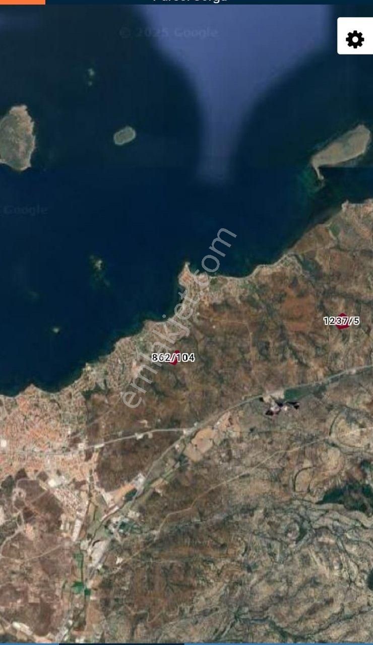 Balıkesir Ayvalık Sakarya"da Satılık Deniz Manzaralı 31.561m2 İmara Yakın Harika Zeytinlik - Görsel 5