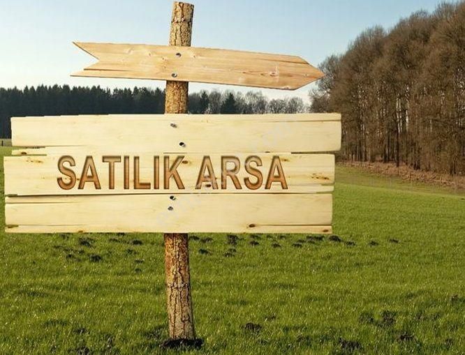 Balıkesir Ayvalık Sakarya"da Satılık Deniz Manzaralı 31.561m2 İmara Yakın Harika Zeytinlik - Görsel 17